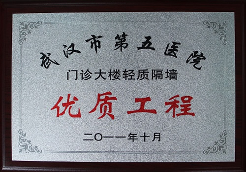 武漢市第五醫(yī)院門診大樓輕質